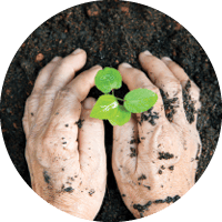 Environmental Protection