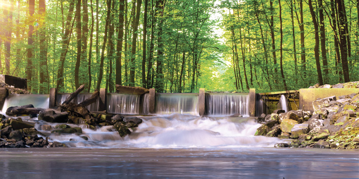 Mulberry River