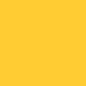 Winder-FD-Gold-bg