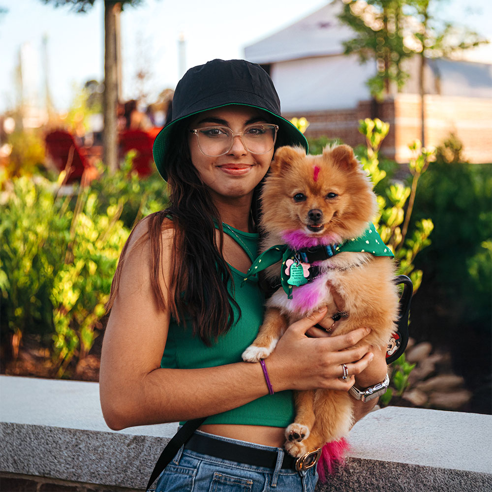 Bark in the Park 2025 temp