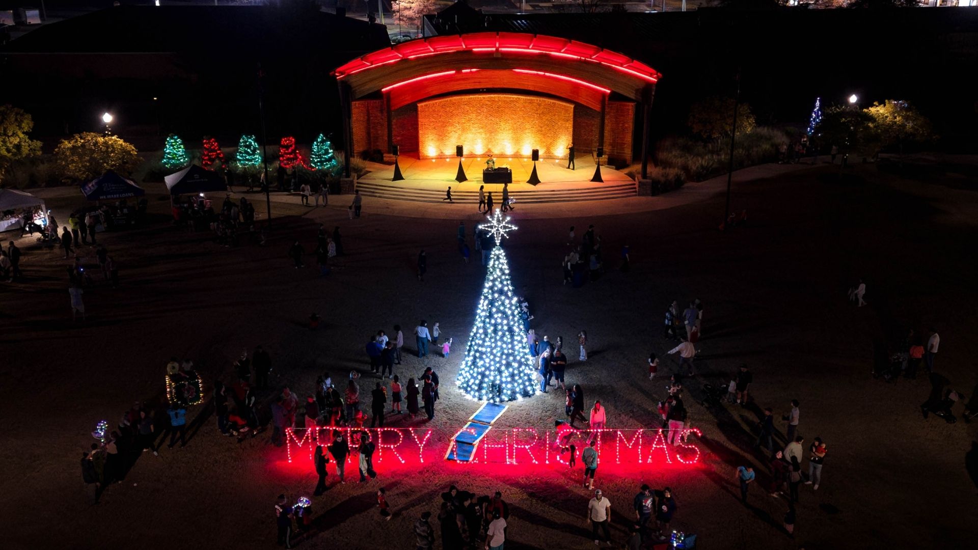 Winder Tree Lighting
